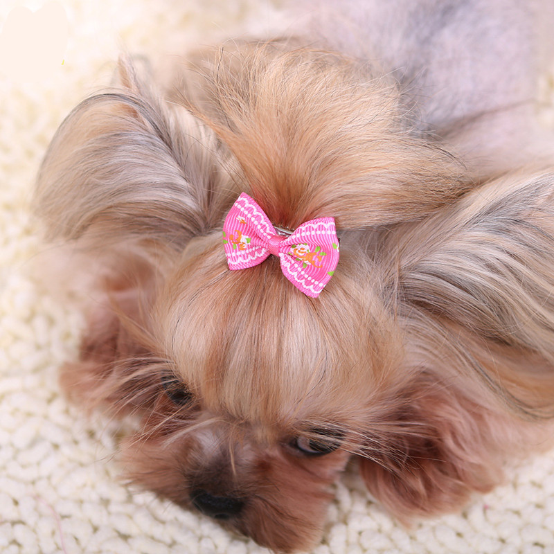 Pet Supplies York - Mới Kẹp Tóc Cho Chó Mèo