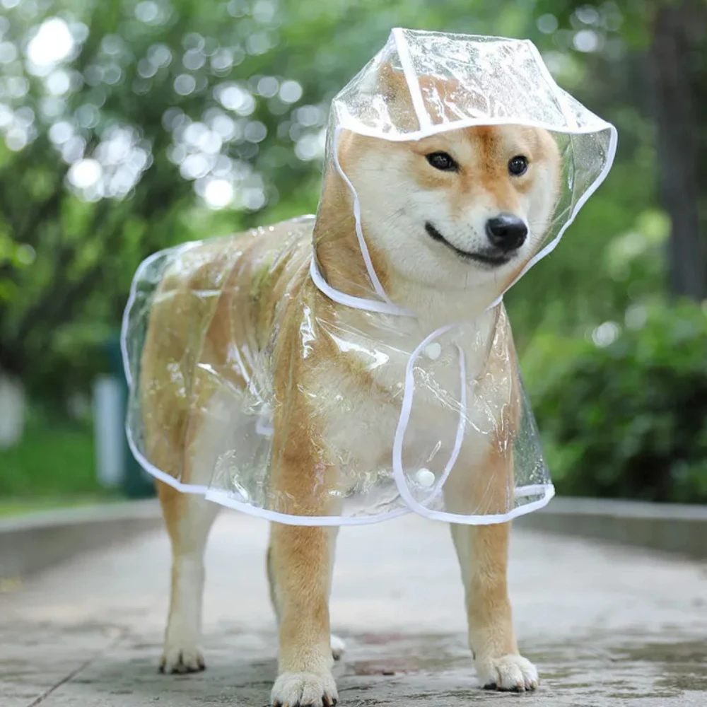 Dog Raincoat - Dog Raincoat Puppy Transparent Rainwear Pet