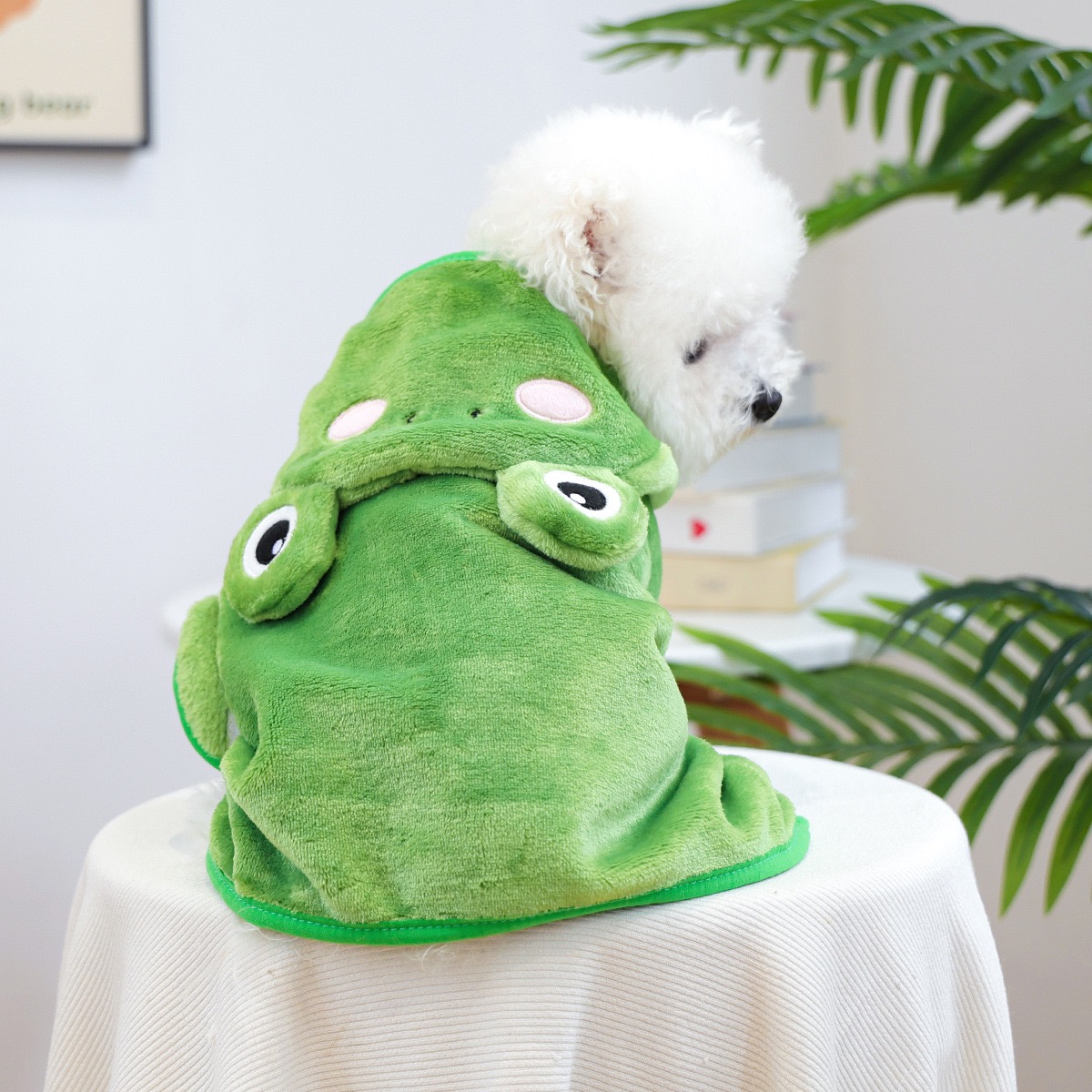 Pet Supplies York - Frog Cap One Piece Dogs Cloak