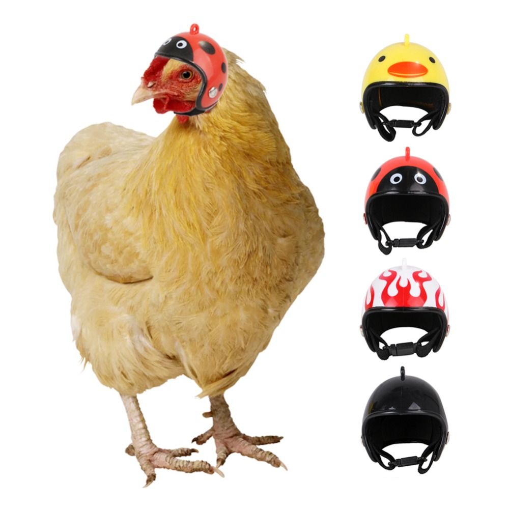 Pet X Supplies & Tack Reviews - ABS Pet Supplies Funny Pet Protective