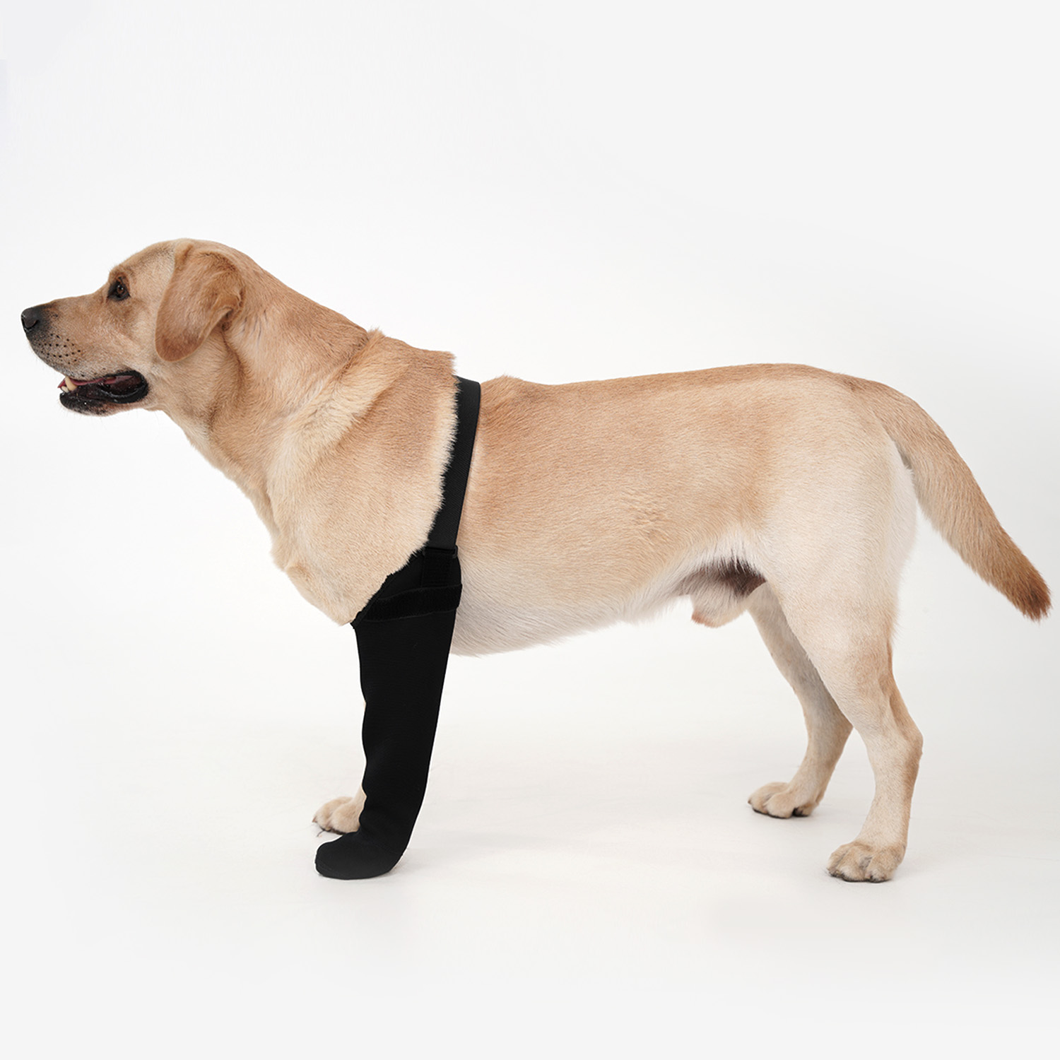 Dog Raincoat - Waterproof Single Leg Dog Sock Anti-Slip