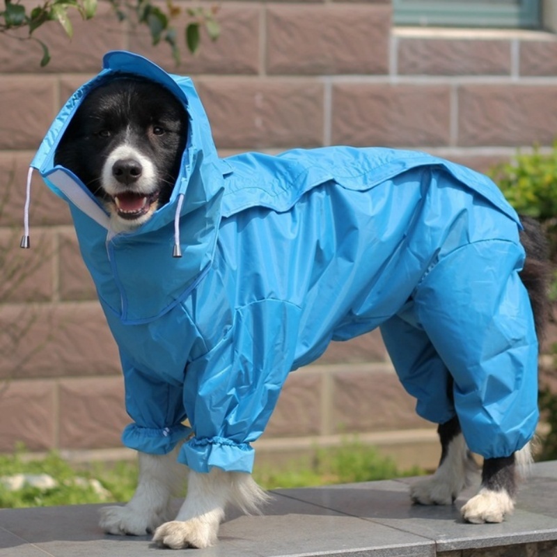 Outdoor Dog Raincoat Jumpsuit  - đánh giá và giá Dog Raincoat