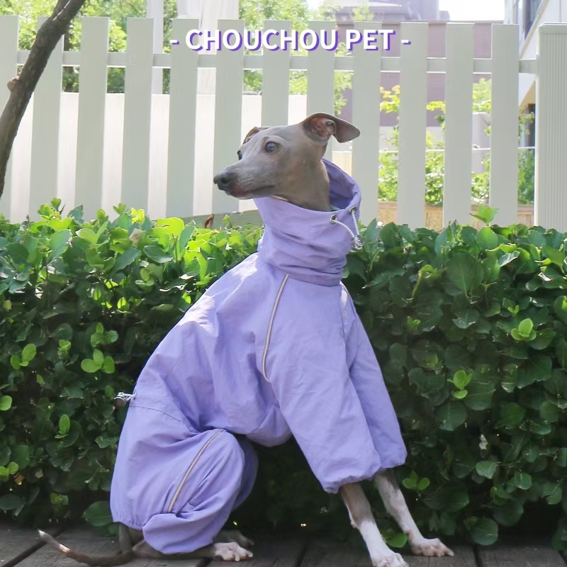 Italian Greyhound Raincoat Aut - đánh giá và giá Dog Raincoat