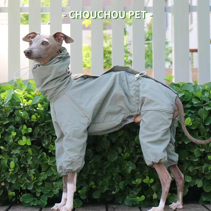 Italian Greyhound Raincoat Aut - đánh giá và giá Dog Raincoat