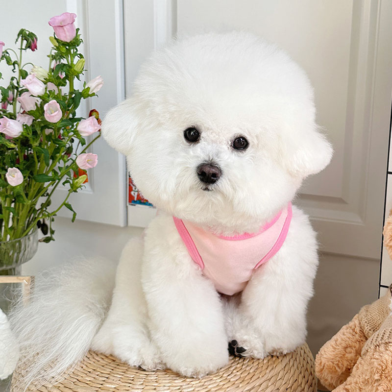 Cartoon Dog Clothes Sleeveless - đánh giá và giá Pet Supplies York