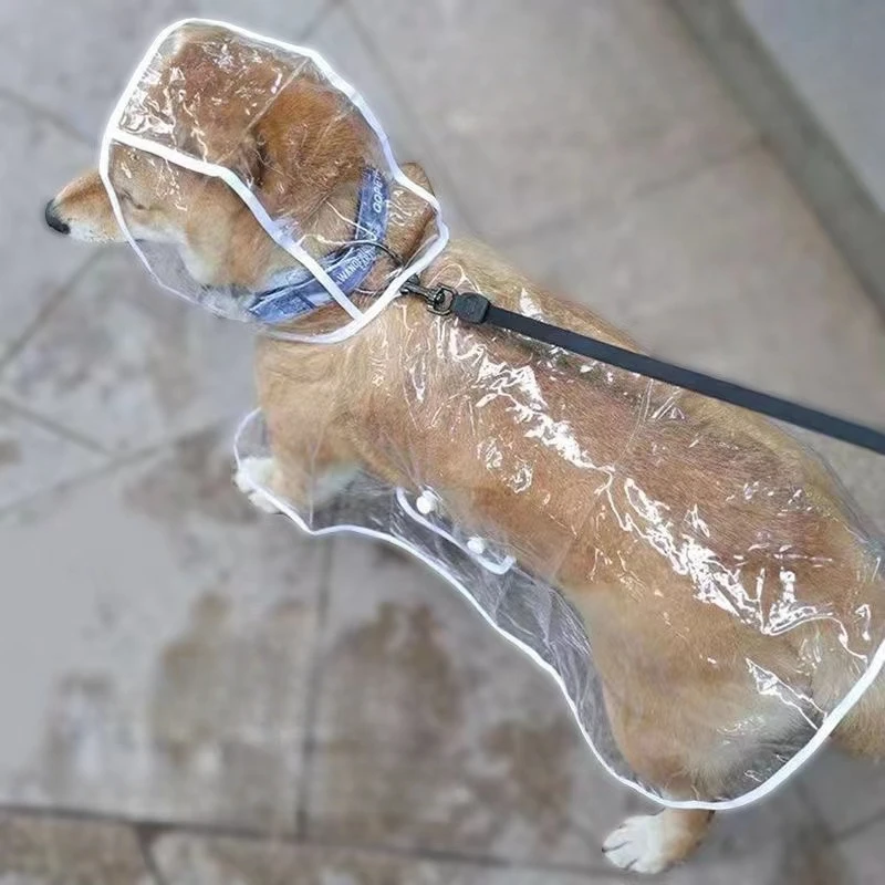 Dog Raincoat Puppy Transparent - đánh giá và giá Dog Raincoat