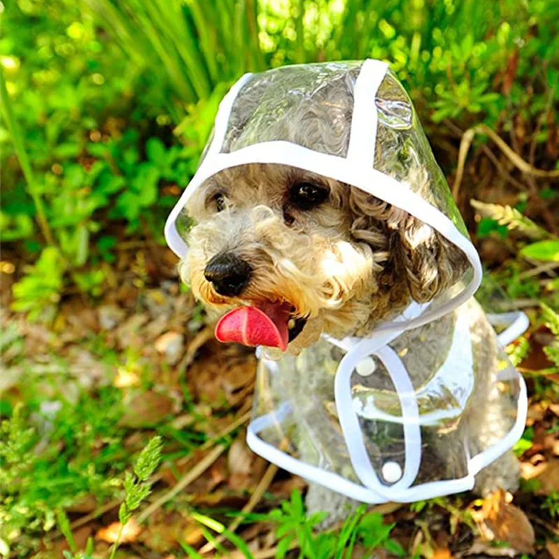Dog Raincoat Puppy Transparent - đánh giá và giá Dog Raincoat