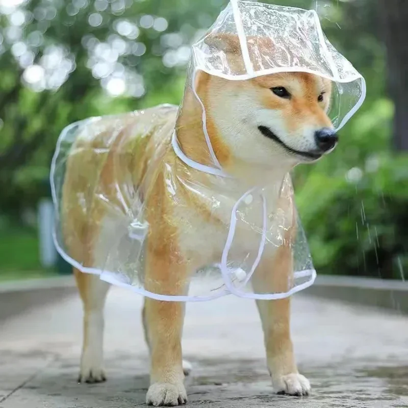 Dog Raincoat Puppy Transparent - đánh giá và giá Dog Raincoat