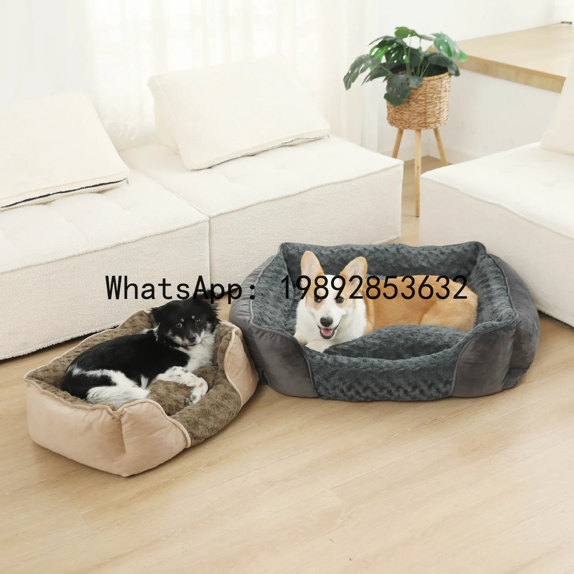 X cat house semi-enclosed dog  - đánh giá và giá Pet X Supplies & Tack Reviews