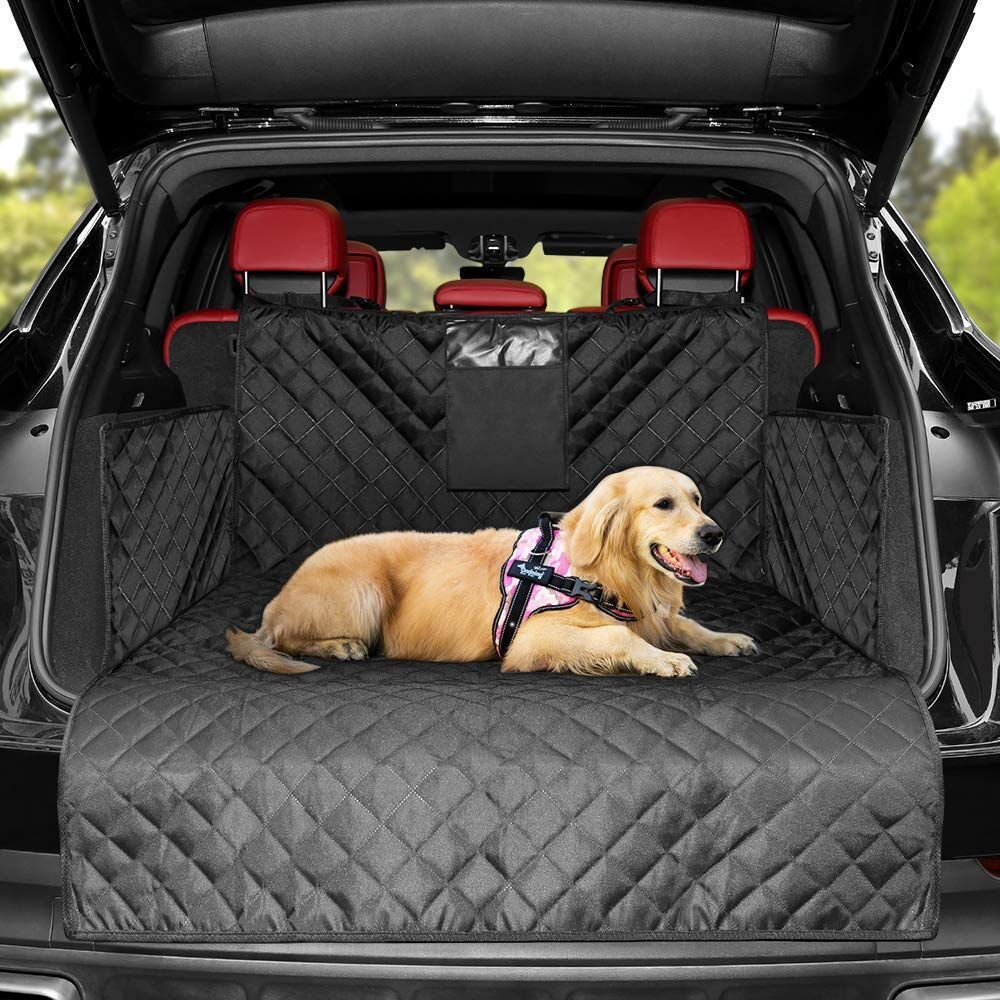 Dog Carrier Wear-resistant Dog - đánh giá và giá Dog Raincoat
