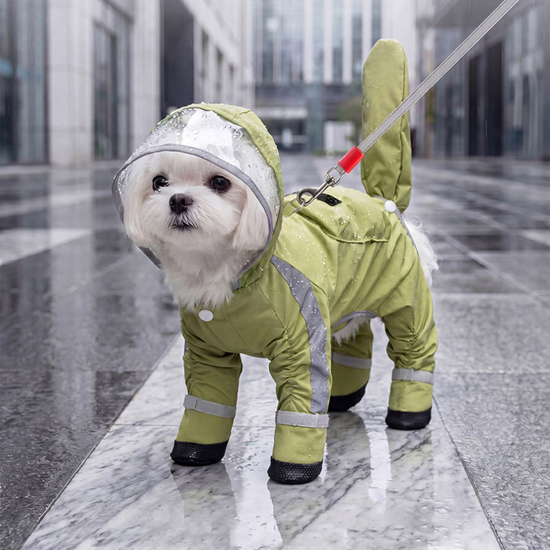 Waterproof Dog Raincoat Clear  - đánh giá và giá Dog Raincoat