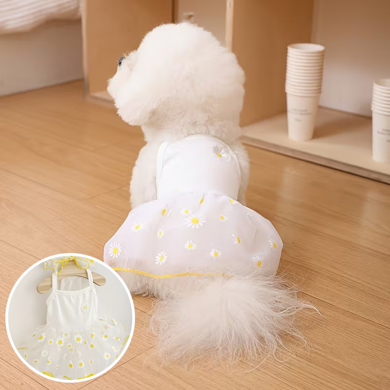 Summer Thin Puppy Princess Ski - đánh giá và giá Pet Supplies York