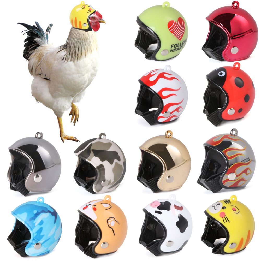 ABS Pet Supplies Funny Pet Pro - đánh giá và giá Pet X Supplies & Tack Reviews