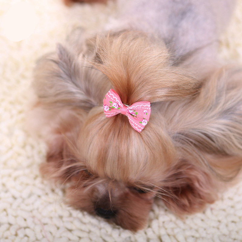 Cute Hairpin for Dogs Kitten P - đánh giá và giá Pet Supplies York