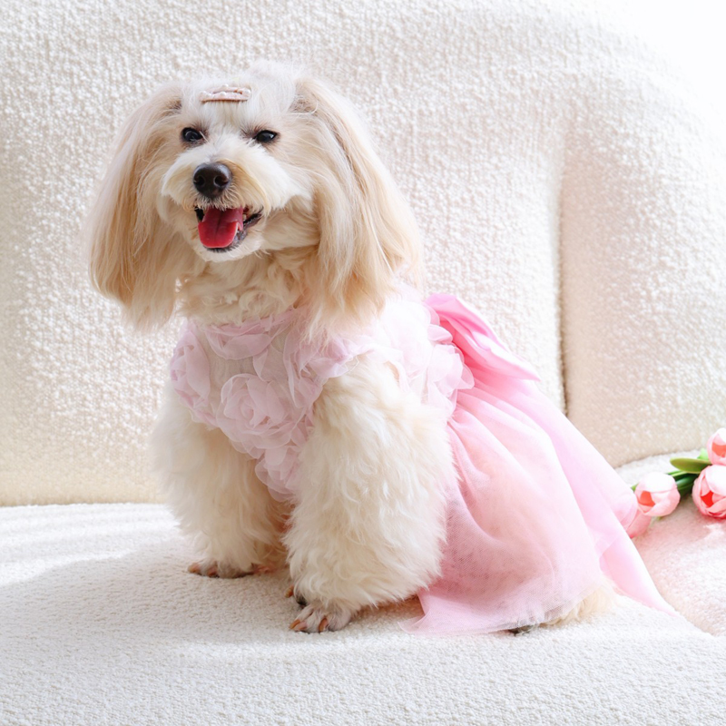 Spring Summer Thin Puppy Princ - đánh giá và giá Pet Supplies York