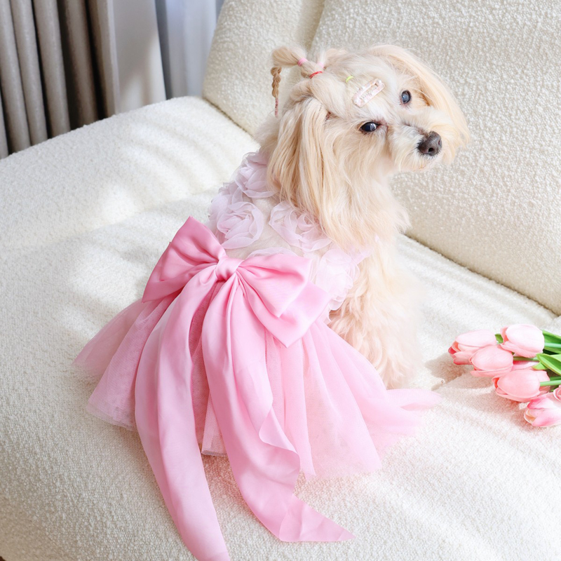 Spring Summer Thin Puppy Princ - đánh giá và giá Pet Supplies York