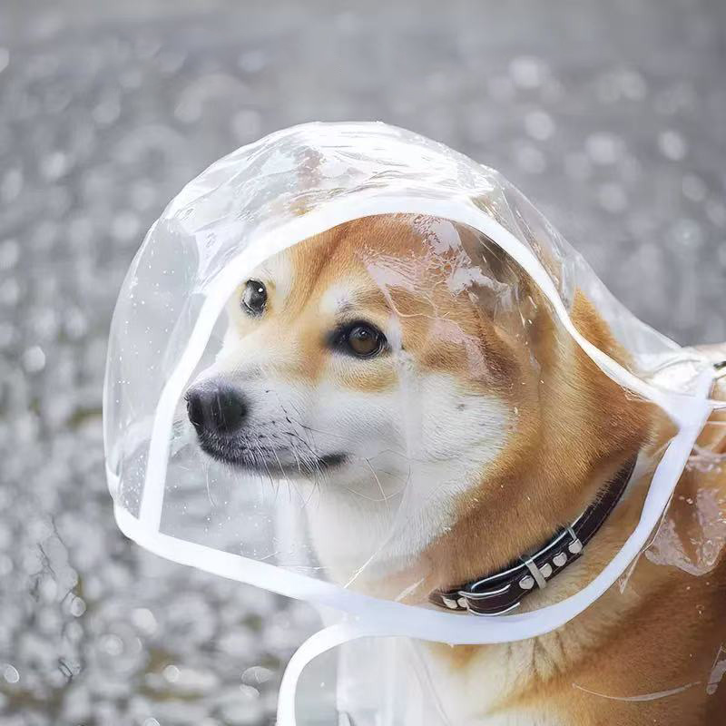 XS-8XL Pet Raincoat Transparen - đánh giá và giá Dog Raincoat