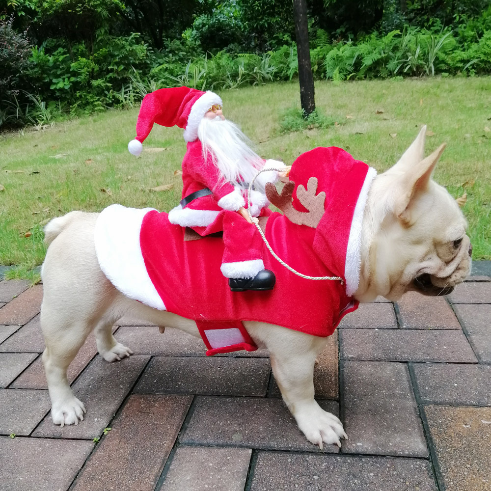 Năm Mới Chó Mèo Quần Áo Mùa Đô - đánh giá và giá Pet Supplies York
