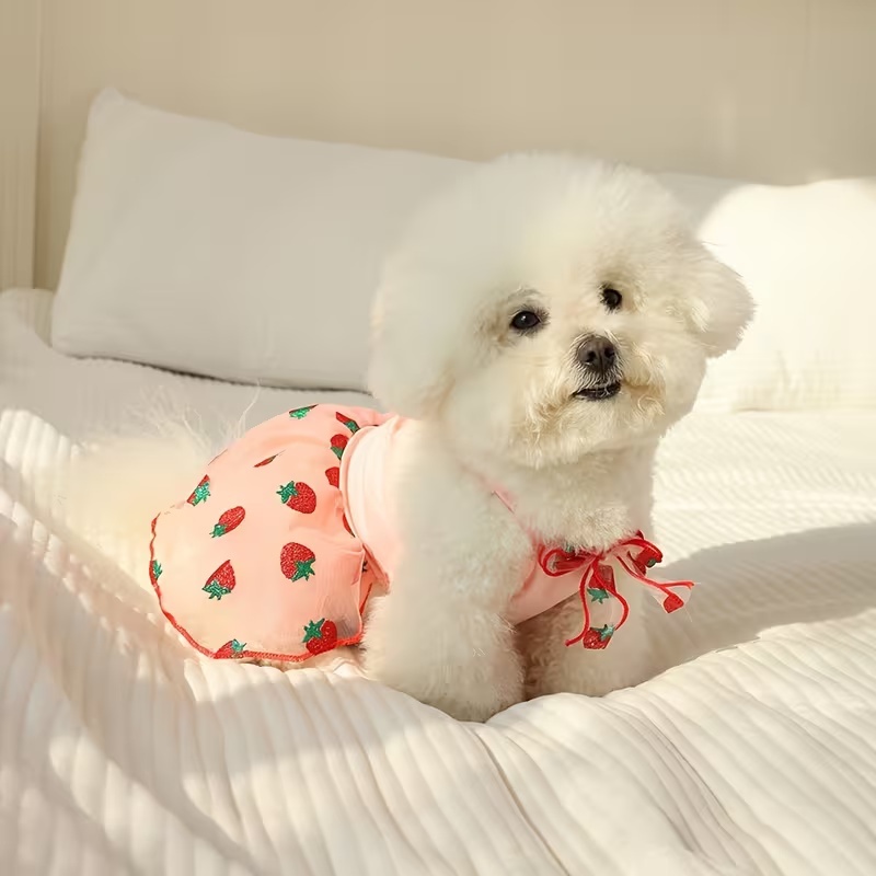 Summer Thin Puppy Princess Ski - đánh giá và giá Pet Supplies York
