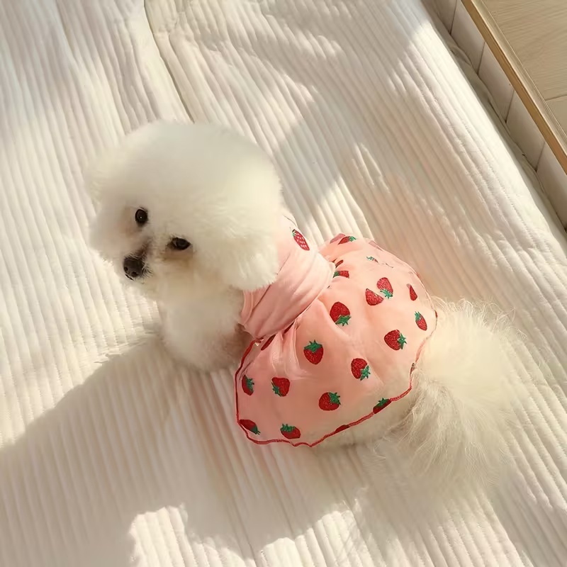 Summer Thin Puppy Princess Ski - đánh giá và giá Pet Supplies York